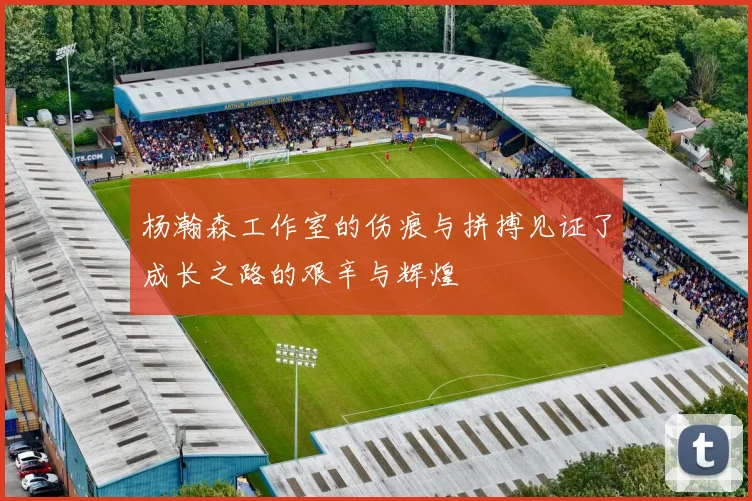 杨瀚森工作室的伤痕与拼搏见证了成长之路的艰辛与辉煌